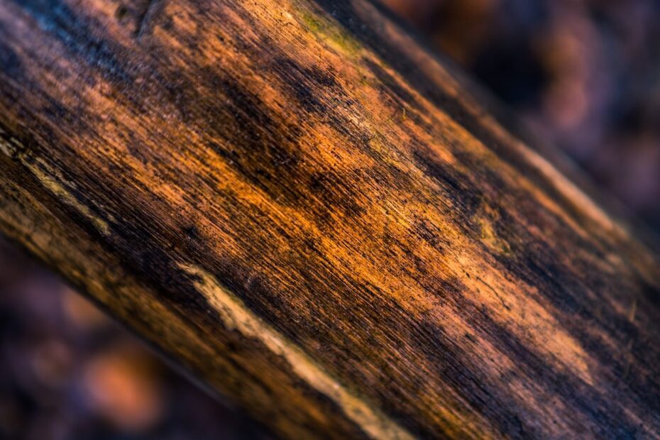 impregnacja drewna natural-wood.pl